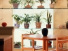 bernies-place-copy