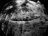mel_schnur-18-peace-on-earth-copy