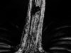 mel_schnur-5-pumpkin-stem-copy