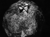 pomagranite-1-copy-2